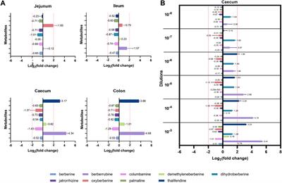 Berberine-microbiota interplay: orchestrating gut health through modulation of the gut microbiota and metabolic transformation into bioactive metabolites